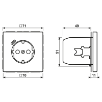 SCHUKO Steckdose LC 1520-18C 253