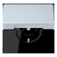 SCHUKO Steckdose LC 1520 BFKIKL 209