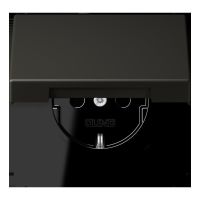 SCHUKO Steckdose LC 1520 BFKIKL 259