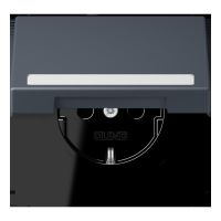 SCHUKO Steckdose LC 1520 BFNAKL 262