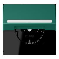 SCHUKO Steckdose LC 1520 NBFKL 216