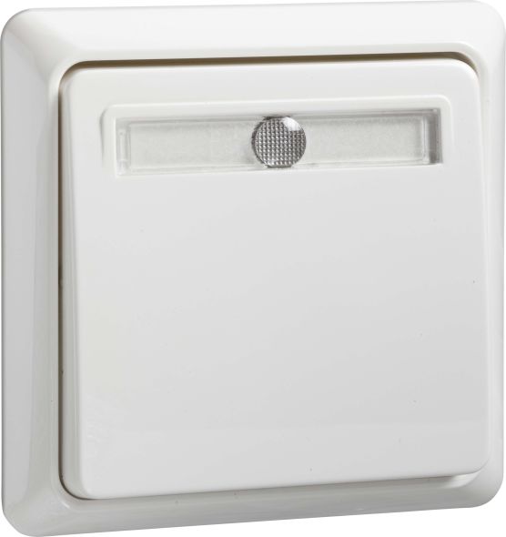 Taster beleuchtet 502124