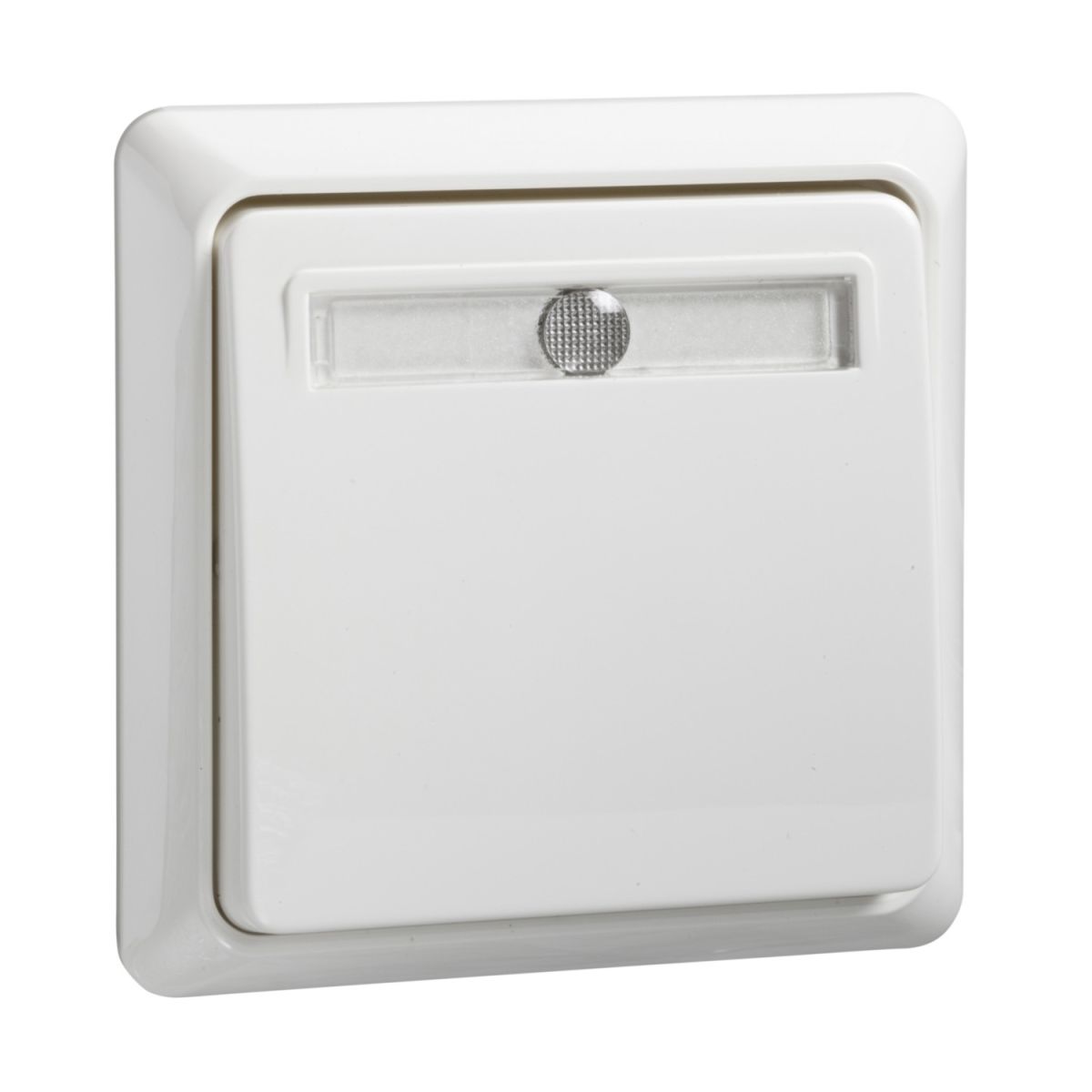 Taster beleuchtet 502124