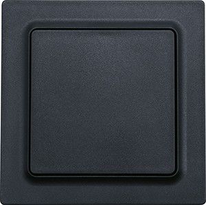 Wipptaster WT55E-am Wipptaster WT55E-am