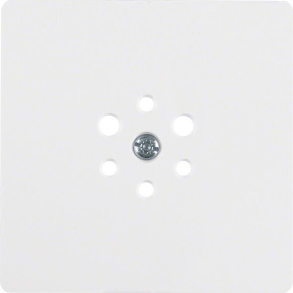 Zentralplatte pws 147409