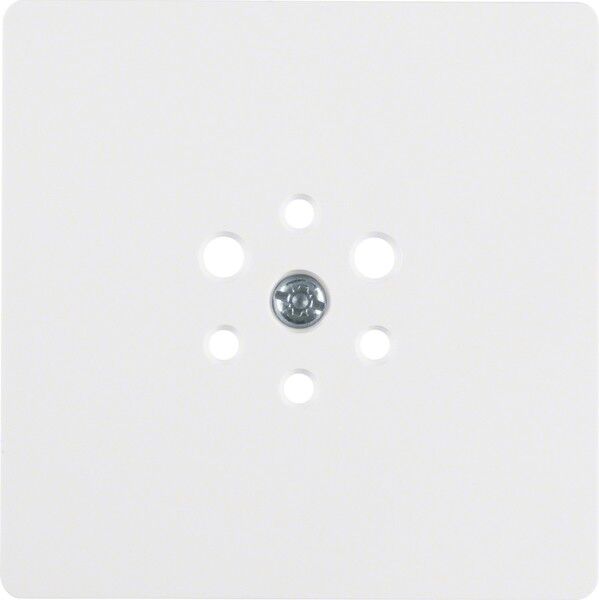 Zentralplatte pws 147409