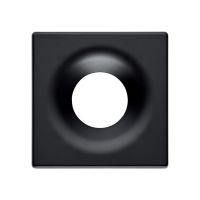 UMS Deckplatte CBMZ-02/09