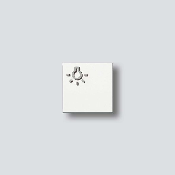 Taste m.Lichtsymbol ws 200029096-00 Taste m.Lichtsymbol ws 200029096-00