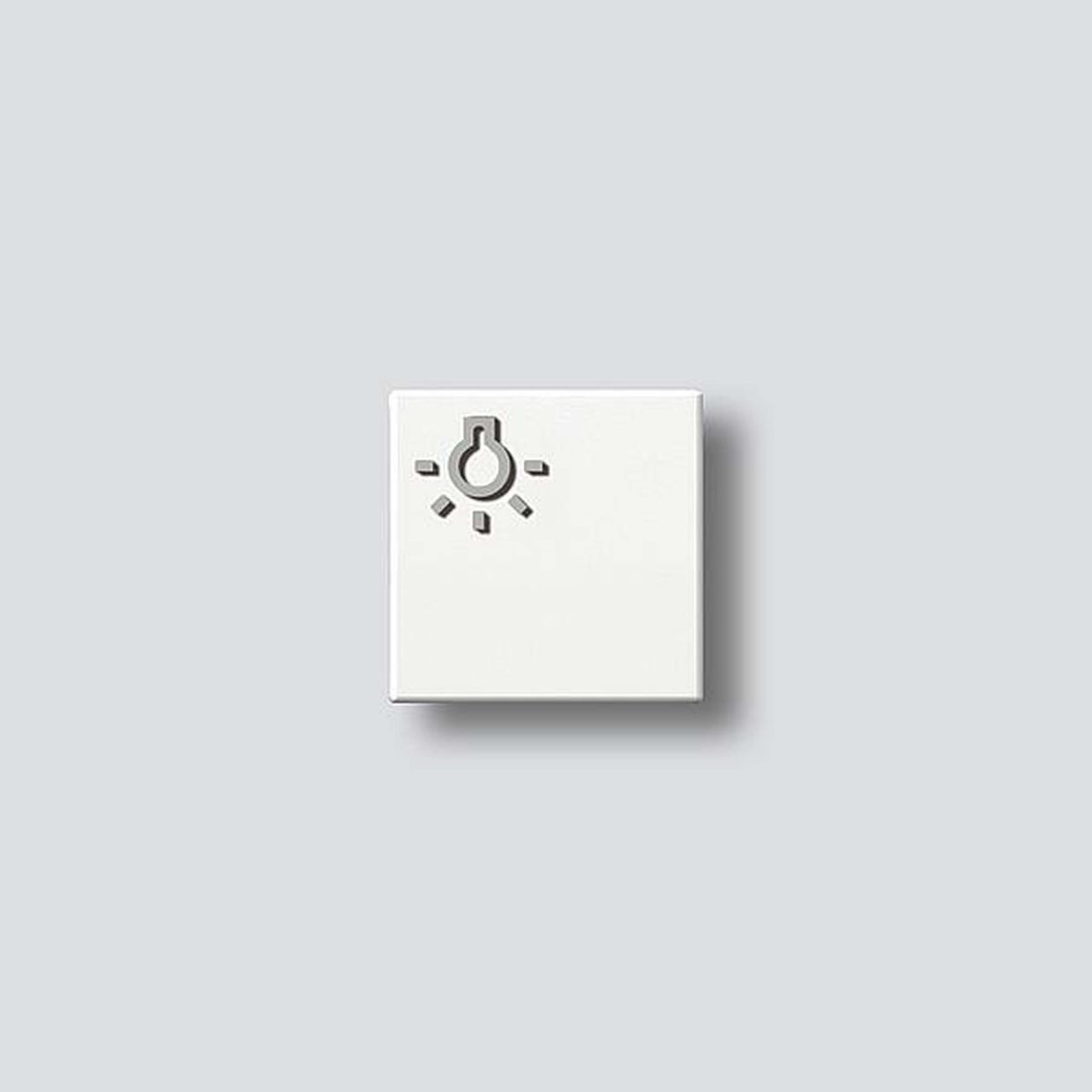 Taste m.Lichtsymbol ws 200029096-00