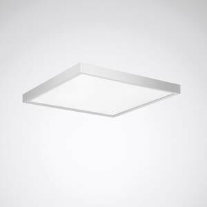 LED-Anbauleuchte 2350 G4 D P #8537240 LED-Anbauleuchte 2350 G4 D P #8537240