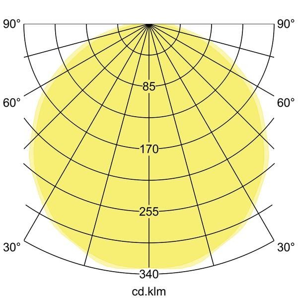 LED-Anbau-Flächenleuchte 13681163
