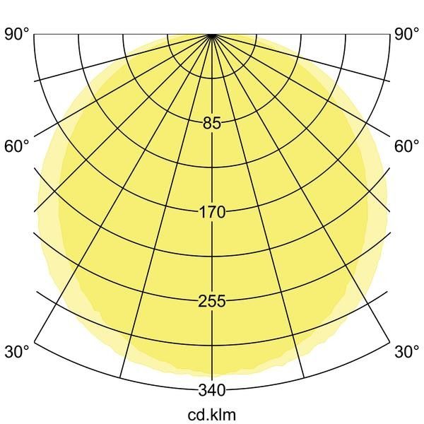 LED-Wandanbauleuchte 230V 10137173