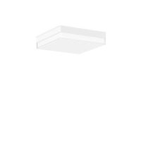 LED-Wand u.Deckenleuchte 312667.002.19