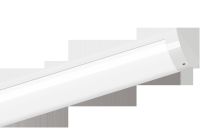 LED-Antivandalenleuchte 142 15L60