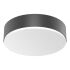 LED-Sensor-Leuchte RSPROA20 SC ww anthr