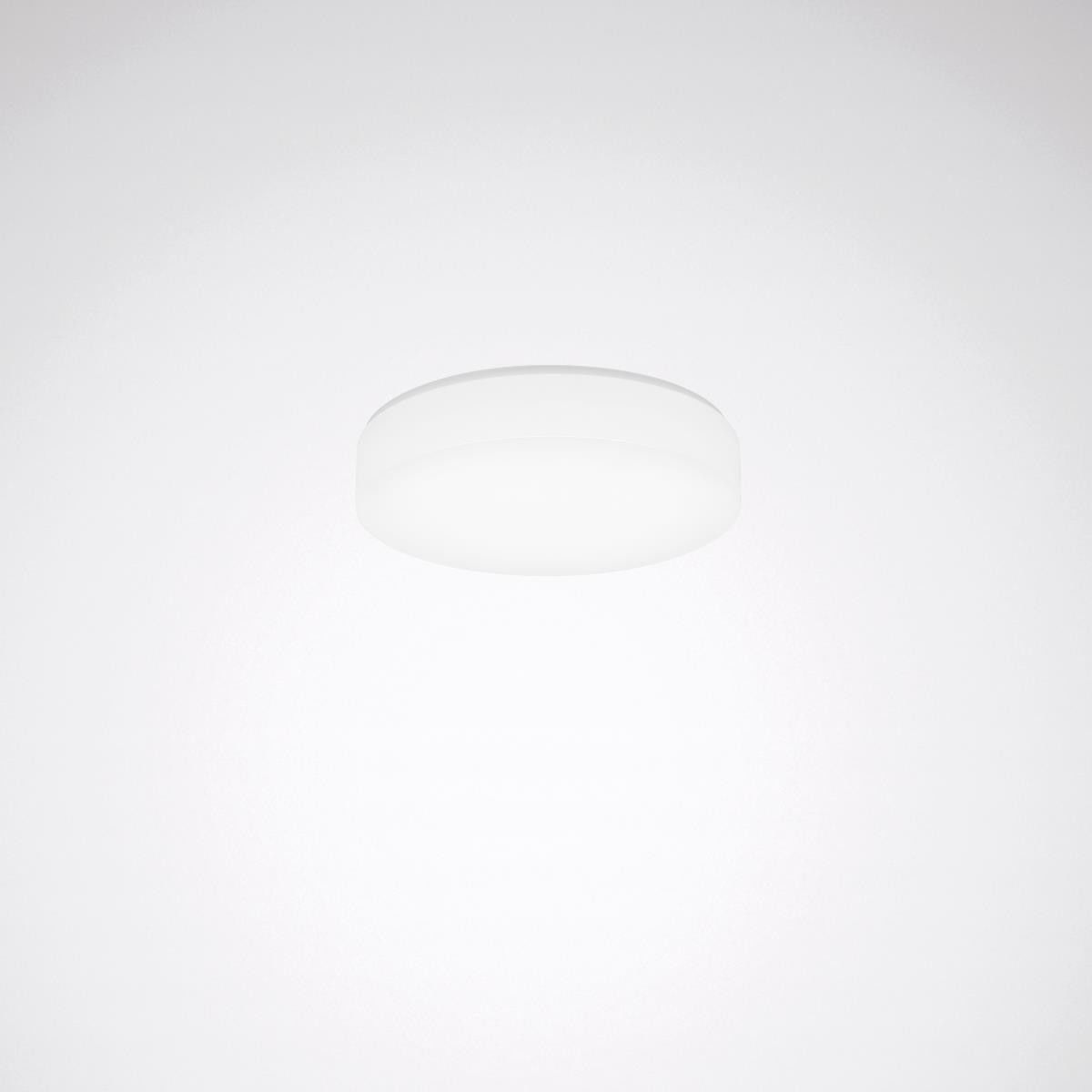 LED-Leuchte Olisq RWD1 #8193751 LED-Leuchte Olisq RWD1 #8193751
