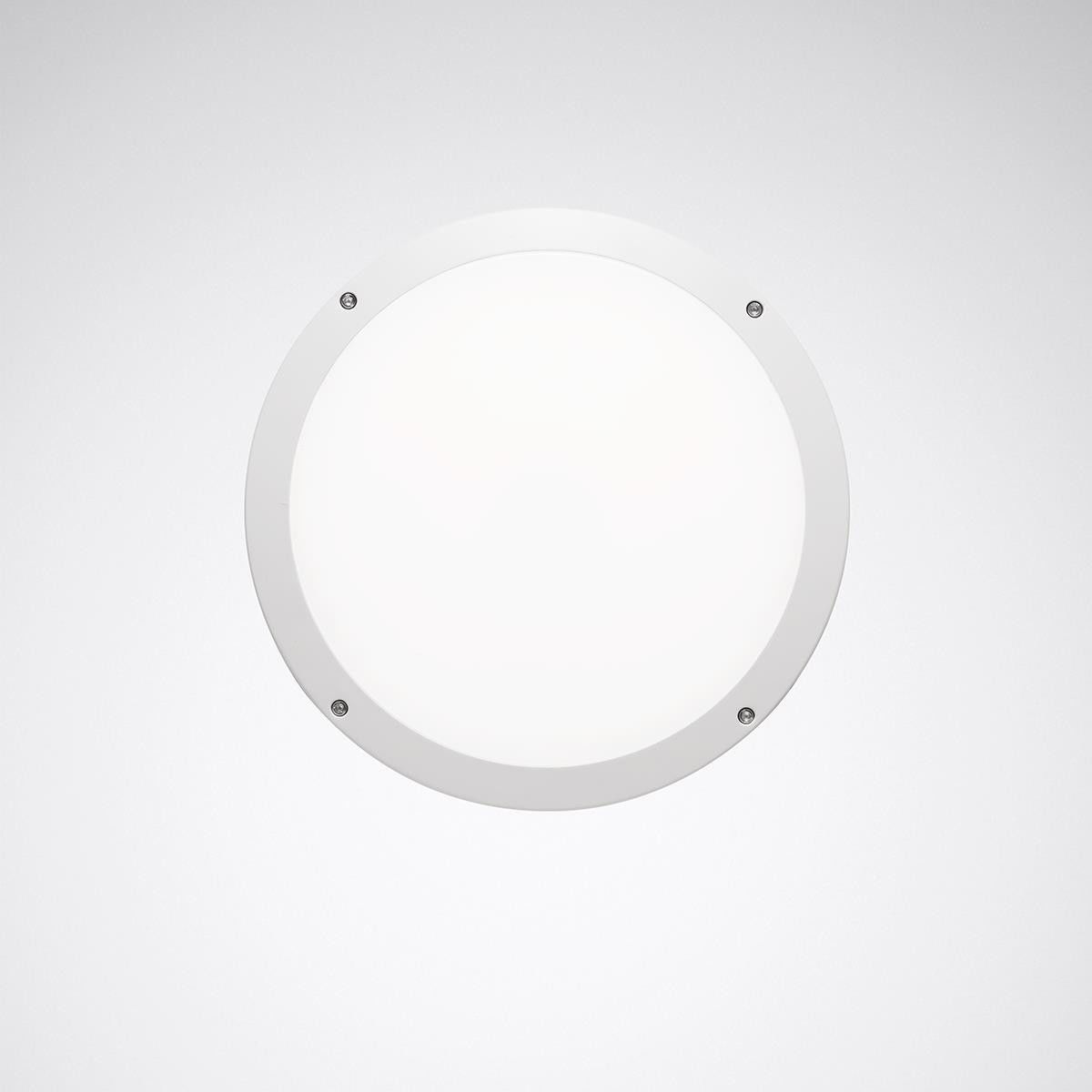 LED-Wand-/Deckenleuchte Skeo Circ M #7578240