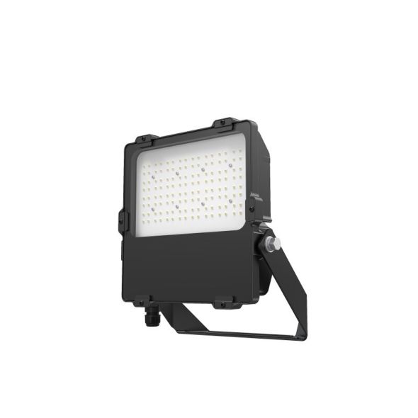 LED-Fluter 4865-150065 LED-Fluter 4865-150065