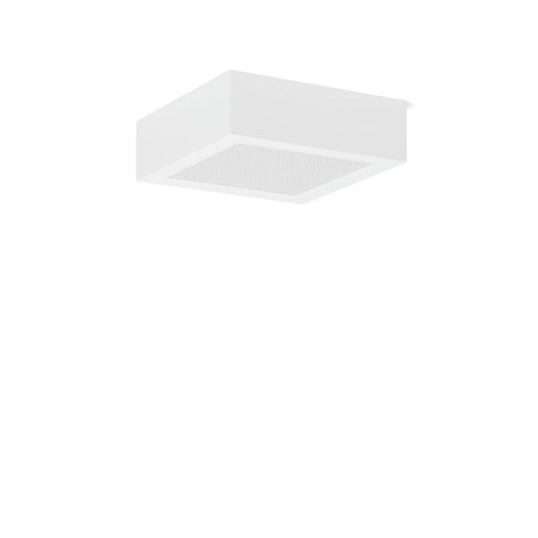 LED-Anbau-Downlight 901828.002.76 LED-Anbau-Downlight 901828.002.76