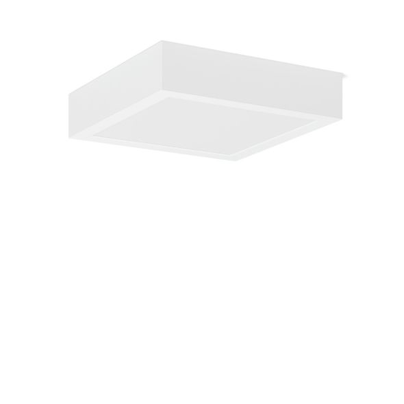 LED-Anbau-Downlight 901829.002.76 LED-Anbau-Downlight 901829.002.76