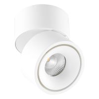 LED-Deckenanbau-Spot AS20130102