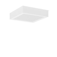 LED-Anbau-Downlight 901830.002