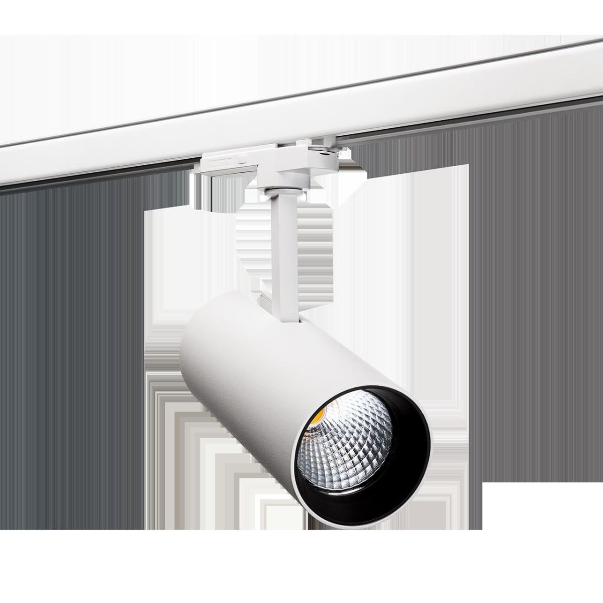 LED-Spot 3-phasig 312451 LED-Spot 3-phasig 312451