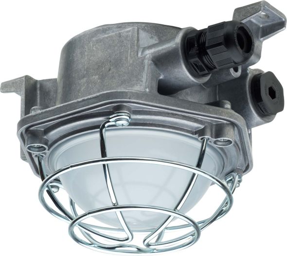 EX-LED-Leuchte e9312F SK EX-LED-Leuchte e9312F SK