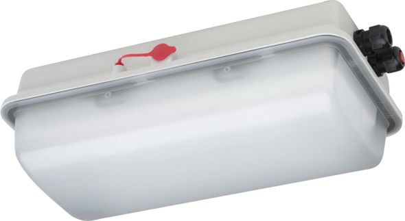 LED-Ex-Wannenleuchte e855F L10 LED-Ex-Wannenleuchte e855F L10