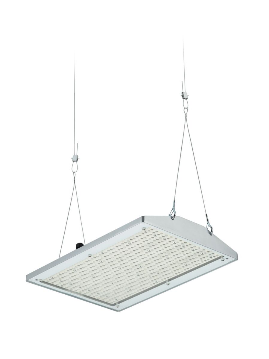 LED-Hallenleuchte BY581P 350 #59417300