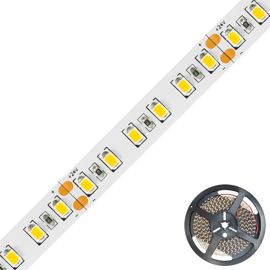 LED-Strip 24V STR20241202802