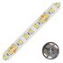 LED-Strip 24V STR54241202802