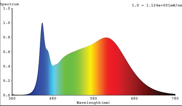 LED-Strip 24V RSTA4260