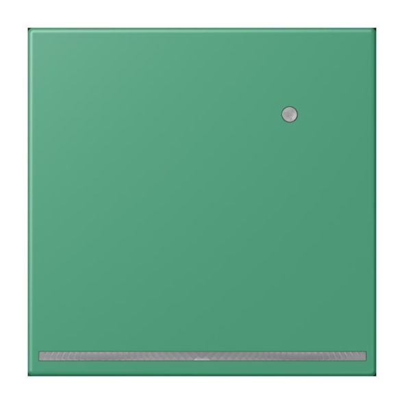 LED-Orientierungslicht LC 1539-O LNW 250 LED-Orientierungslicht LC 1539-O LNW 250