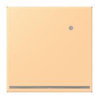 LED-Orientierungslicht LC 1539-O LNW 258