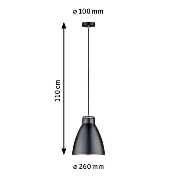 Pendelleuchte 796.09 Pendelleuchte 796.09