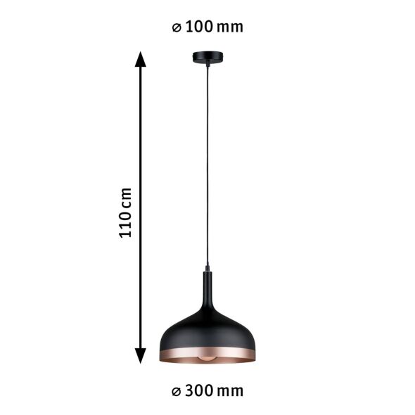 Pendelleuchte 796.29