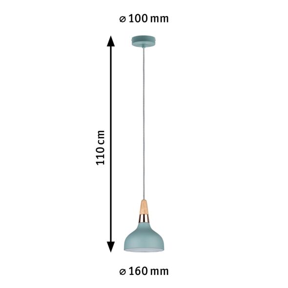 Pendelleuchte 796.52 Pendelleuchte 796.52