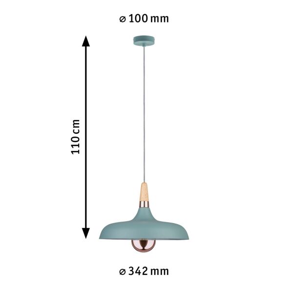 Pendelleuchte 796.55 Pendelleuchte 796.55