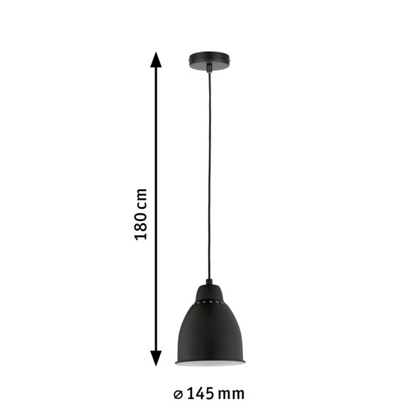 Pendelleuchte 797.63 Pendelleuchte 797.63