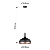 Pendelleuchte 796.29