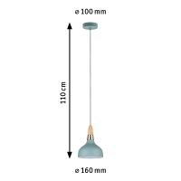 Pendelleuchte 796.52