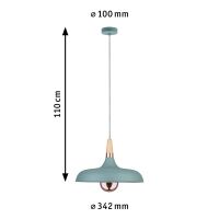 Pendelleuchte 796.55