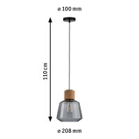 Pendelleuchte 797.39