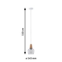 Pendelleuchte 797.45