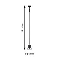 Pendelleuchte 956.30