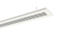 LED-Pendelleuchte F-LINE-PDI1 #0637884