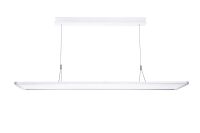 LED-Pendelleuchte AREUM SUSPE #0042957