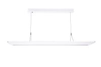 LED-Pendelleuchte AREUM SUSPE #0042969