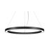 LED-Pendel-Ringleuchte 13931184